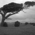 #fotografieren
