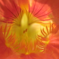 #fotografieren