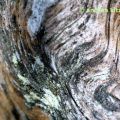 #fotokunst