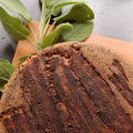 #brotbacken